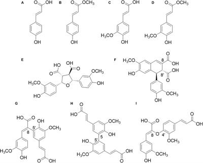 Feruloyl Esterases for Biorefineries: Subfamily Classified Specificity for Natural Substrates